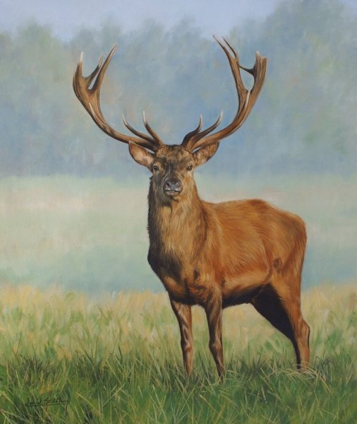 Марал картина