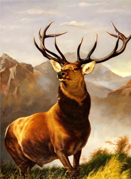 Гордый олень