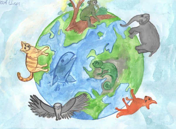 Живая Планета рисунок на конкурс