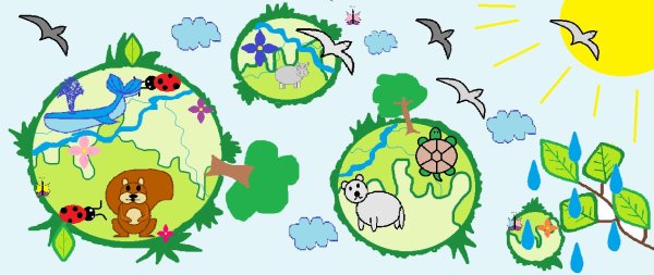 Природа глазами детей