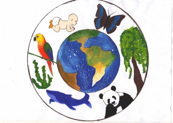 Животные на земном шаре