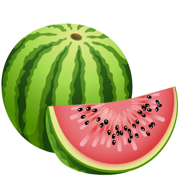 Арбуз вектор