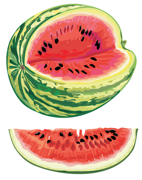 Арбуз рисунок