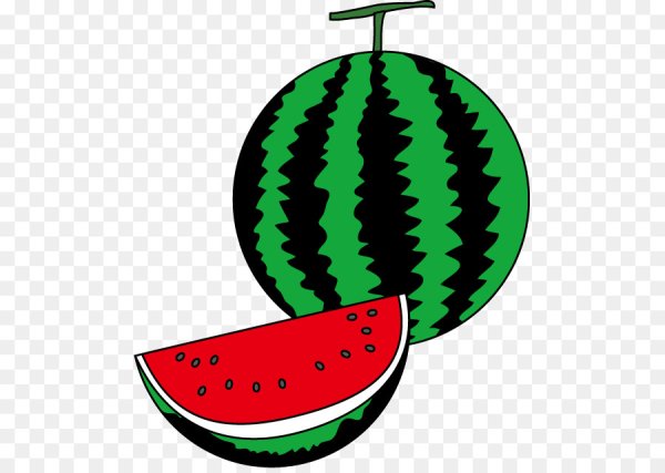 Арбуз рисунок