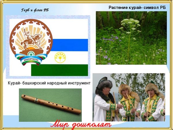 Символ Башкирии цветок курая