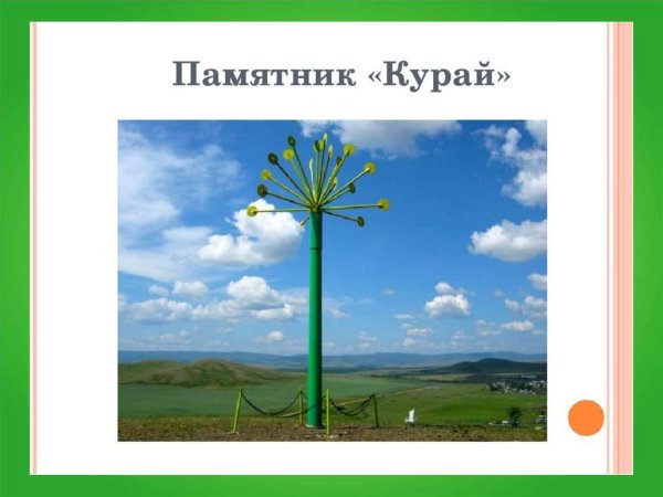 Цветок курая