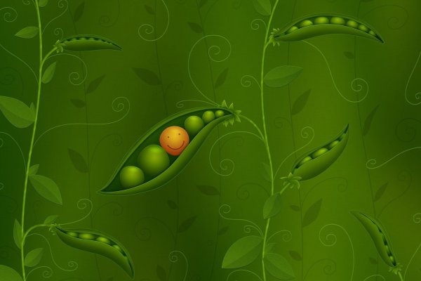 Горох орнамент
