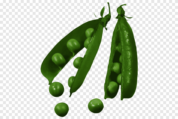 Карточка горох