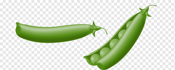 Стручок гороха закрытый