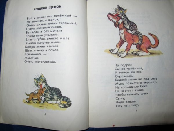 Стихотворение Валентина Берестова Кошкин щенок