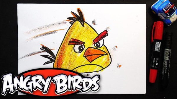 Рыба кит папа рисует Энгри Бердс