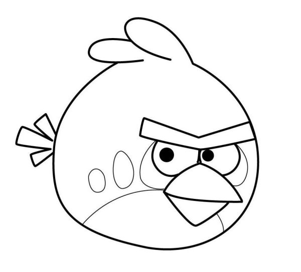 Angry Birds раскраска Теренс