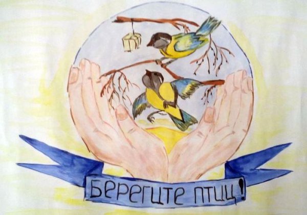 Плакат на тему защита птиц