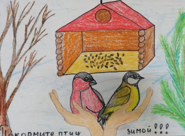Рисунок на тему берегите птиц