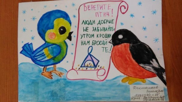 Рисунок берегите птиц в садик