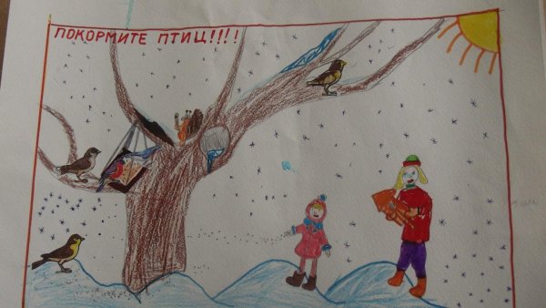 Рисунок на тему берегите птиц