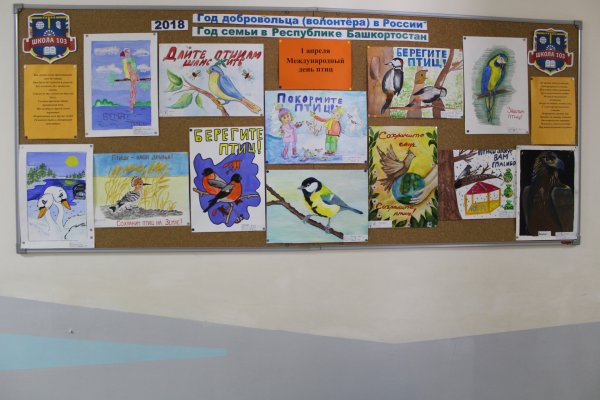 Экологическая акция берегите птиц