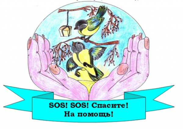 Плакат в защиту птиц