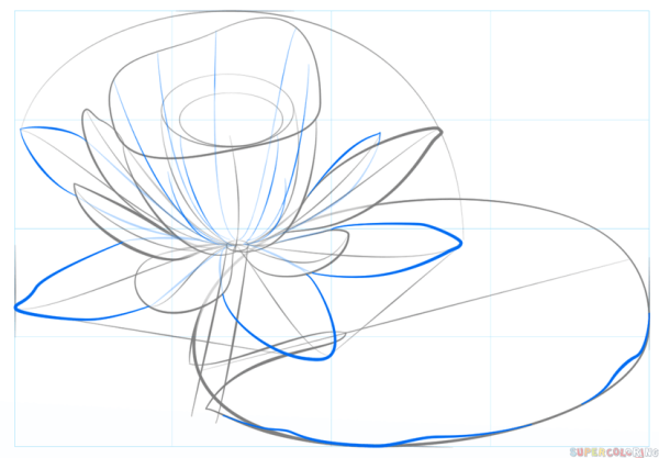 Поэтапное рисование лотоса