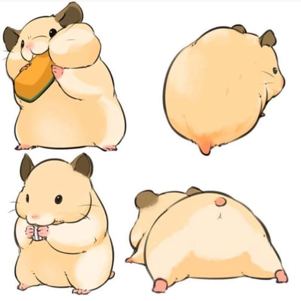 Хомяк рисунок