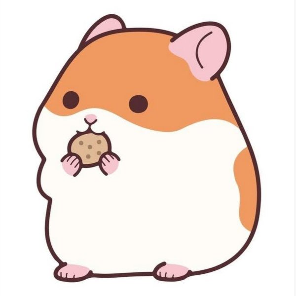 Наоми Лорд хомяк