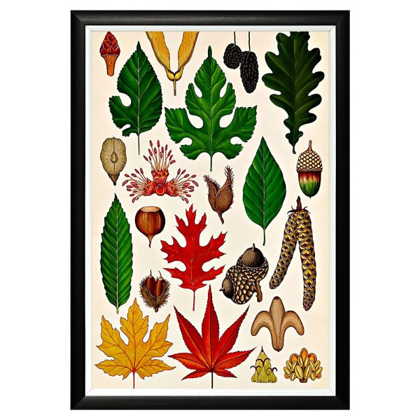 Осенний гербарий