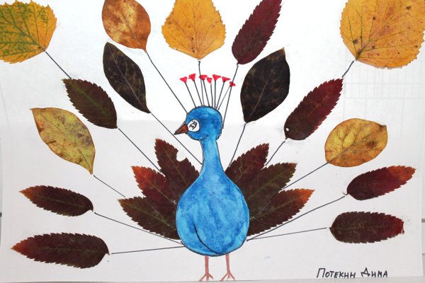 Поделка из листьев Павлин