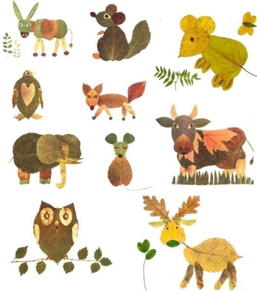 Поделки из гербария