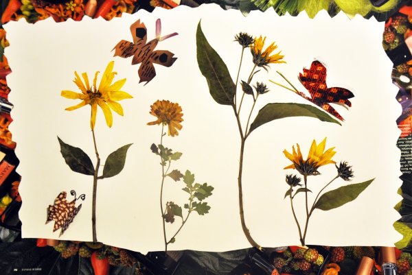 Гербарий Томаса Грина