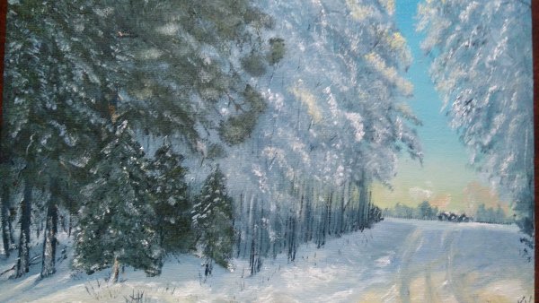 Зимний лес Алексей Аникин