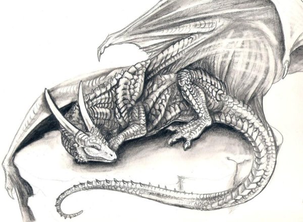 Спящий дракон рисунок