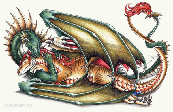 Спящий дракончик