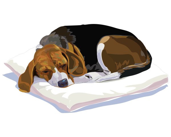 Собака спит на коврике