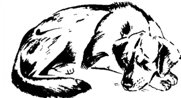 Бездомная собака рисунок