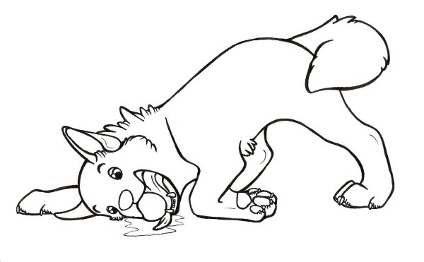 Щенок с мячиком раскраска