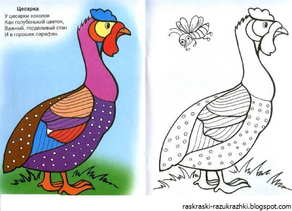 Раскраска по образцу