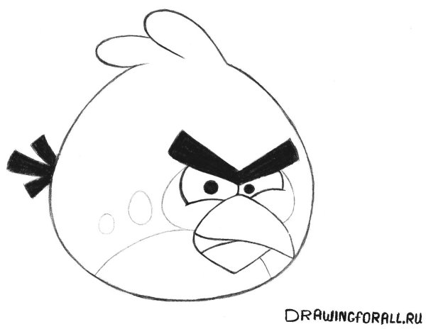 Энгри бердз рисунок карандашом
