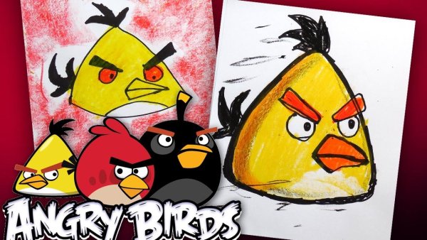 Энгри бердз для срисовки