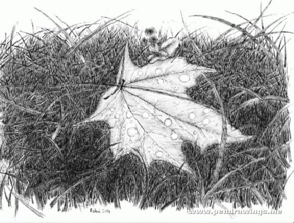 Осень в графике