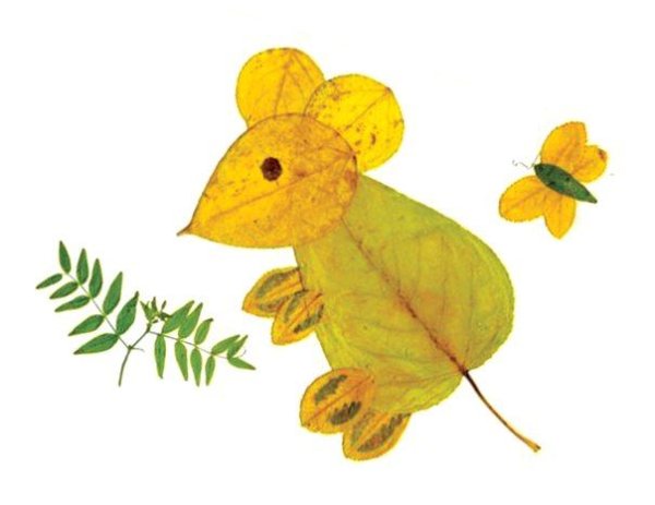 Животные из гербария