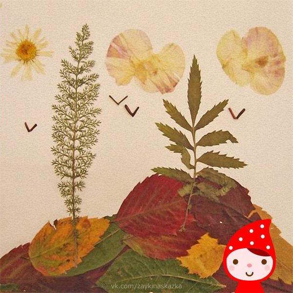 Гербарий из листьев