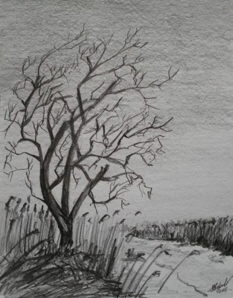 Пейзаж Графика карандаш