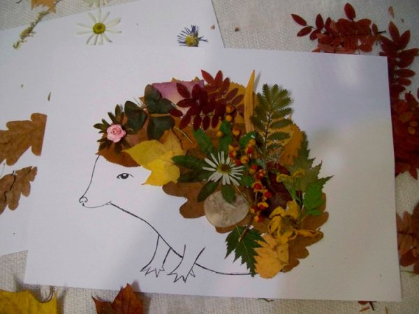 Засушенные листья гербарий