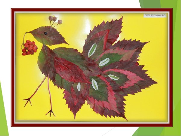 Аппликация из природного материала