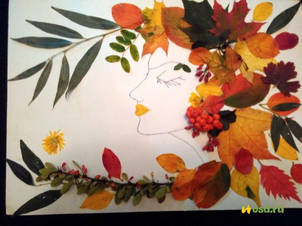 Гербарий из осенних листьев