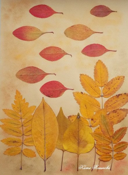 Засушенные листья