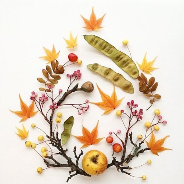 Л.Белецкая креативные картины из природных материалов