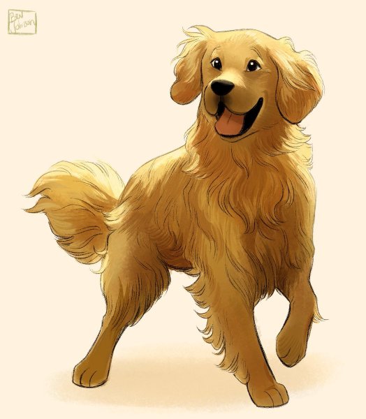 Золотистый ретривер референс