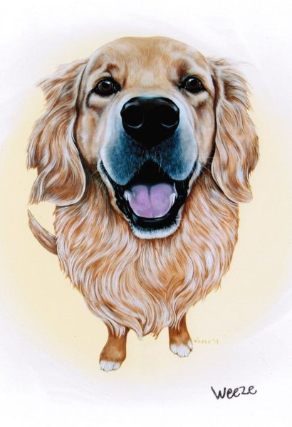 Золотистый ретривер арт