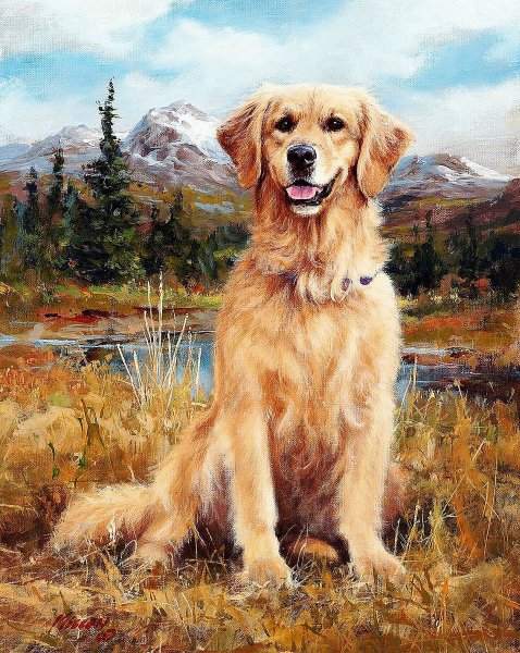 Джим Киллен